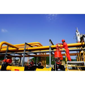 博感科技成功完成中石油某油气井腐蚀测厚系统安装...